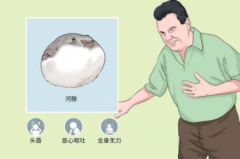 <b>沉点范畴消息公开</b>